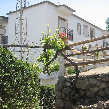 Alojamiento Rural Mirador Del Avellano Alpujarra De La Sierra Extérieur photo