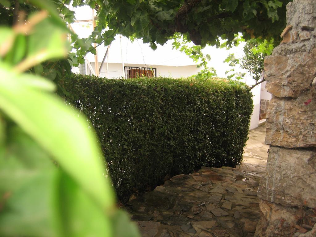 Alojamiento Rural Mirador Del Avellano Alpujarra De La Sierra Extérieur photo